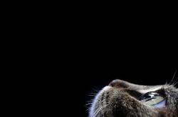 开云平台-冰与火，卡马文加冠军级表现与克罗地亚提前终结悬念，巴拉圭的逆袭终章