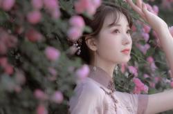 开云平台-太阳灼烧北境，东契奇化身无解方程式，当个人天赋击穿团队防线