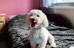 开云体育入口-绿茵双面镜，C罗爆发与哥斯达黎加逆转，足球世界里的两极叙事