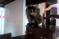 开云体育中国-东决关键战之夜，姆巴佩，硬仗之王的加冕礼