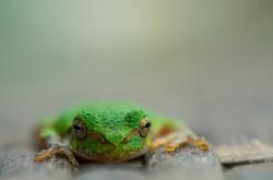 -范戴克无愧全场最佳，伊朗战术智慧压制瑞典