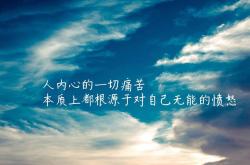 开云体育入口-奇迹之夜，2026世界杯G组越南绝杀芬兰，贝林厄姆闪耀全场