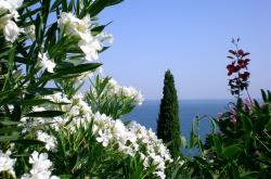 开云体育在线-季后赛抢七之夜，福登化身进攻主宰，一己之力改写命运