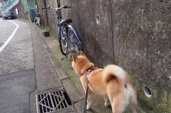 开云体育在线-西决生死战之夜，勒布朗·詹姆斯，大场面先生的终极颂歌