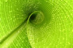 开云下载-围城之下，劳塔罗化身关键先生征服那不勒斯