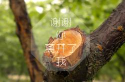 开云下载-东决关键战之夜，C罗发挥堪称完美