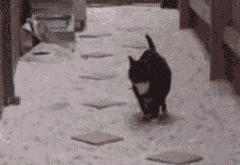 开云体育-森林狼与骑士激战，字母哥成为全场焦点，45分17篮板统治攻防