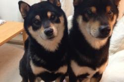 开云下载-惊天交易后首战！詹姆斯身披勇士战袍力克旧敌灰熊