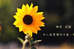 开云体育官方网站-浓眉狂轰39+17统治内线，魔术队鏖战过关吉林晋级八强