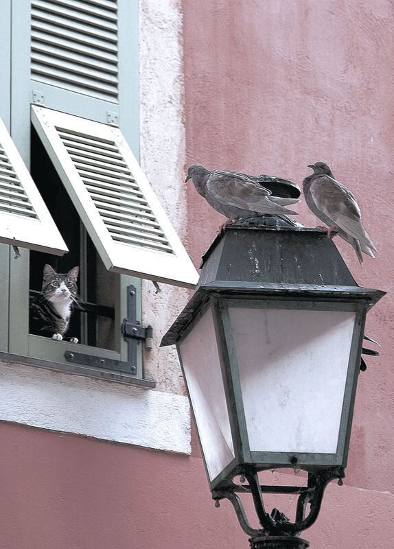 德罗赞压哨绝杀，制胜一击，从绝境到传奇