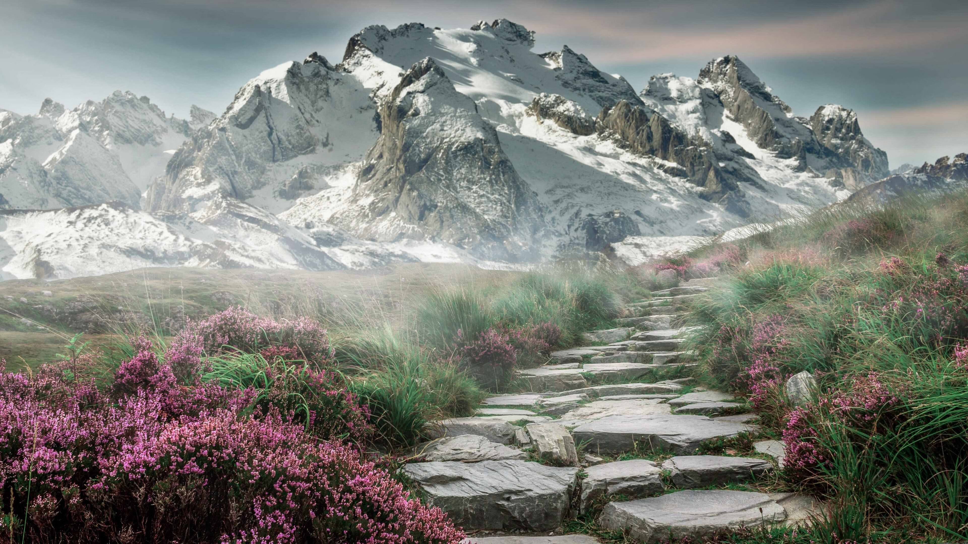 德罗赞加时赛统治级表现!浙江队逆转骑士夺国际俱乐部锦标赛冠军