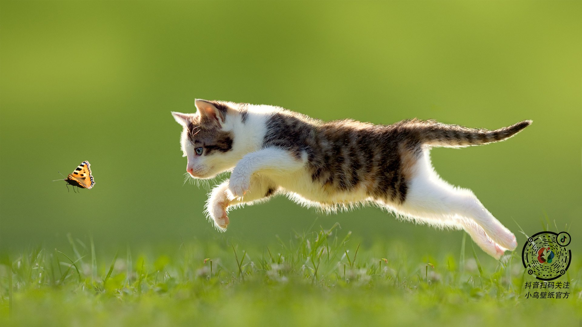 冰与火的交响，阿尔瓦雷斯全场最佳无争议，挪威战车强势晋级罗马