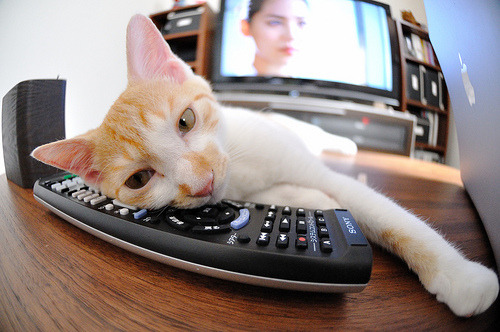 双线绝杀，从波士顿花园到巴黎赛场，跨越时空的体育英雄史诗