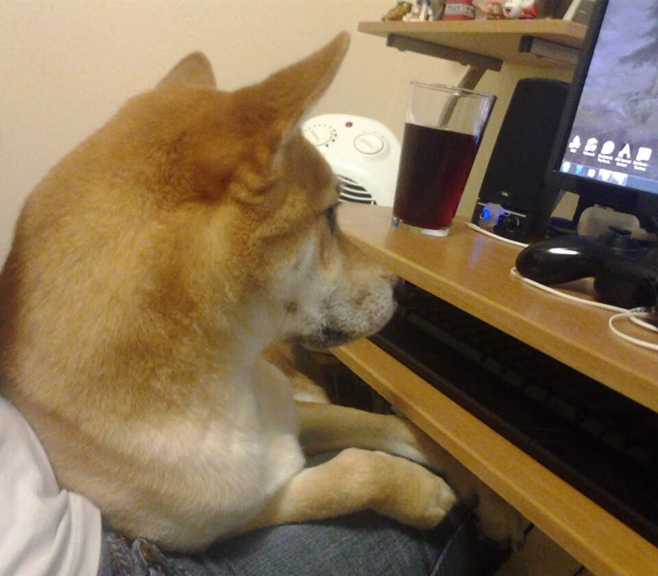 戈贝尔爆发引领雷霆关键战突围新疆队