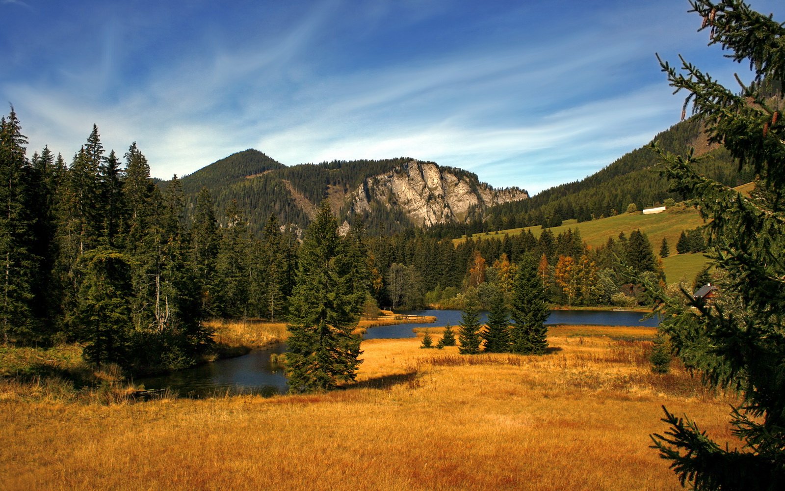 篮球基因在绿茵场,当恩比德在英超争冠战中接管比赛
