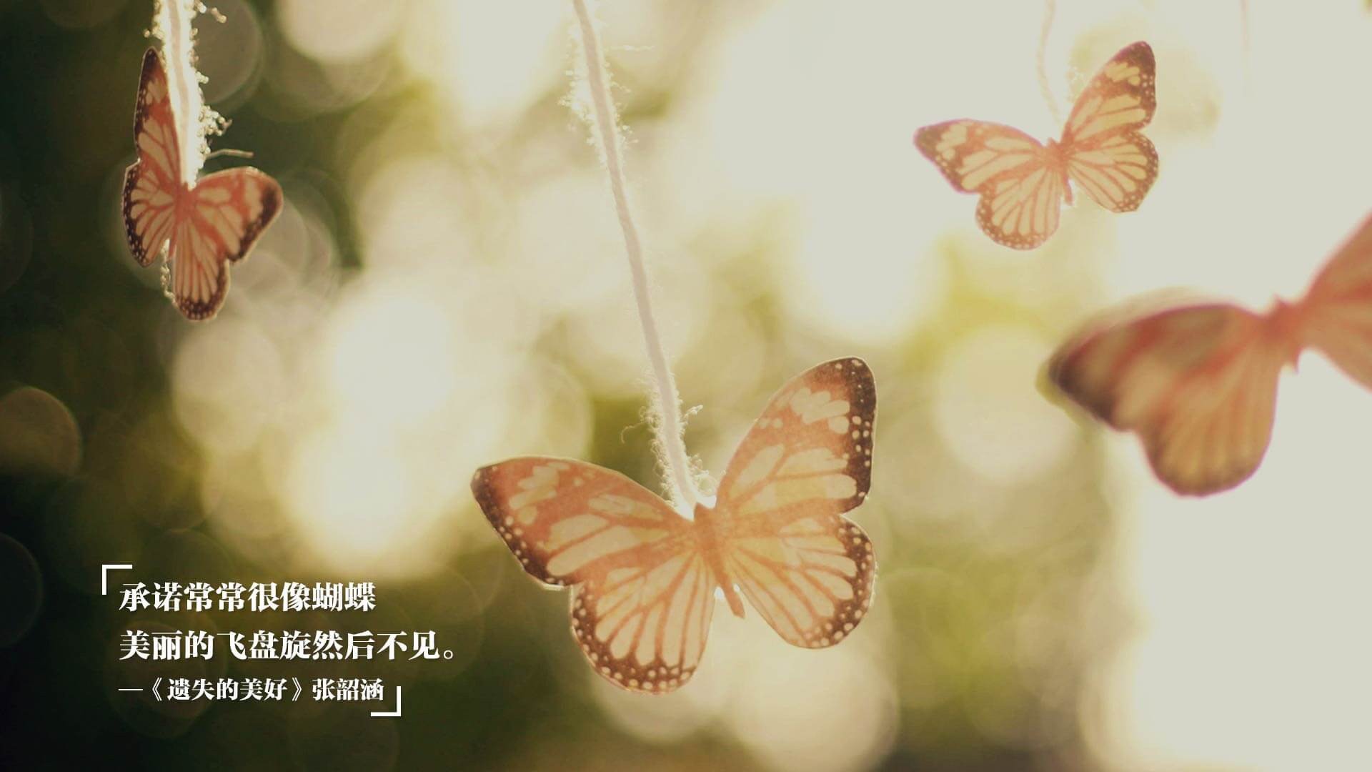 压力之下见真章,班凯罗爆发引领爵士战胜太阳