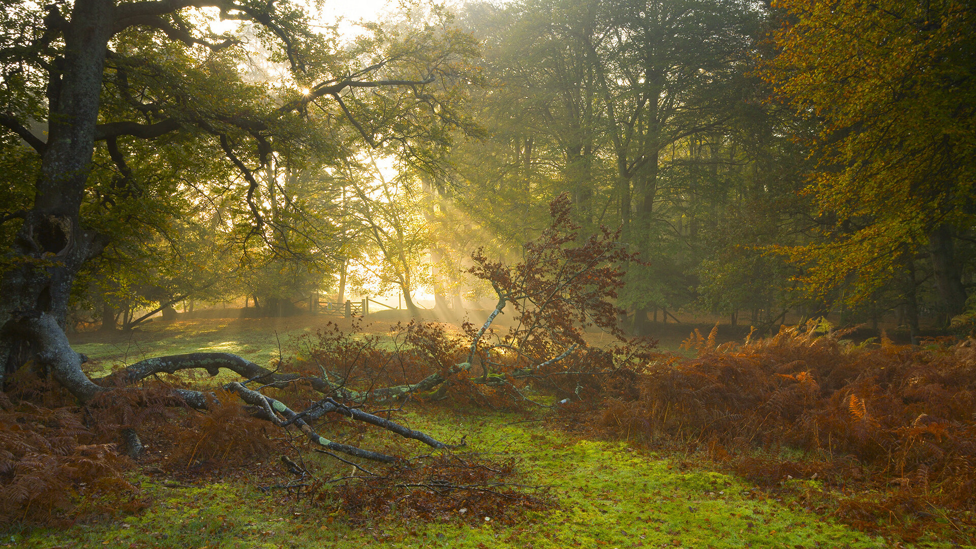 神射苍穹！克莱全程高能输出 吉林铁军力克雄鹿