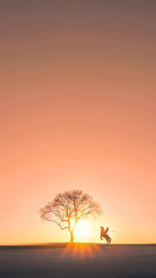 东决关键战之夜，字母哥如何化身交响乐指挥家