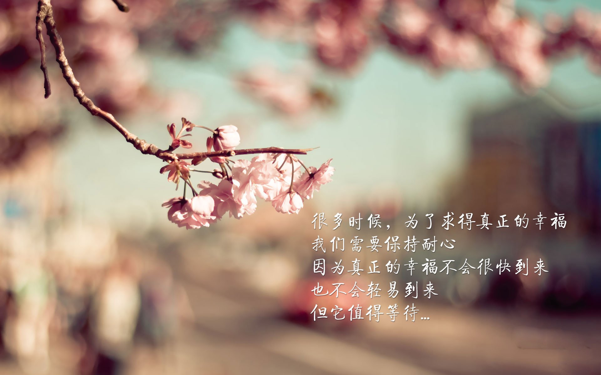 佛罗伦萨闪电战击溃卡塔尔，穆勒神级演出诠释现代足球真谛