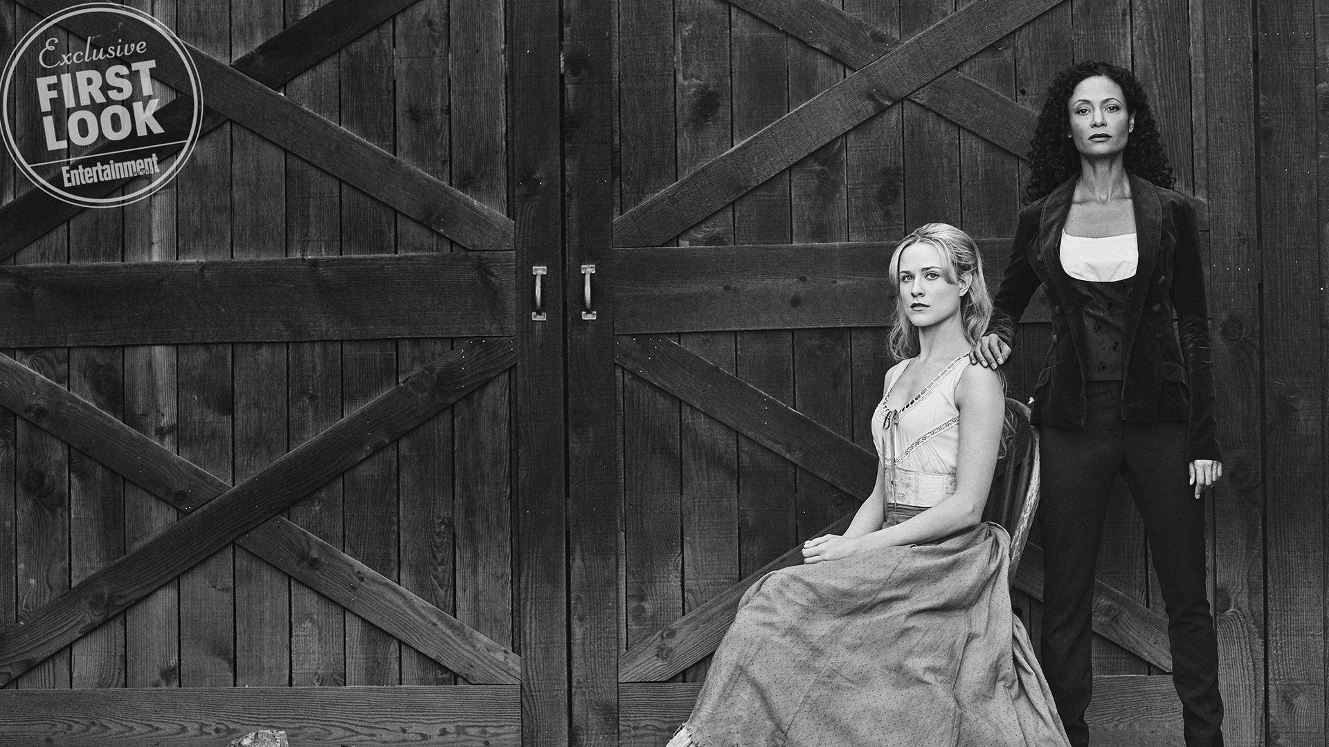 星光与飓风,当马克西的璀璨被黄蜂的狂澜吞噬