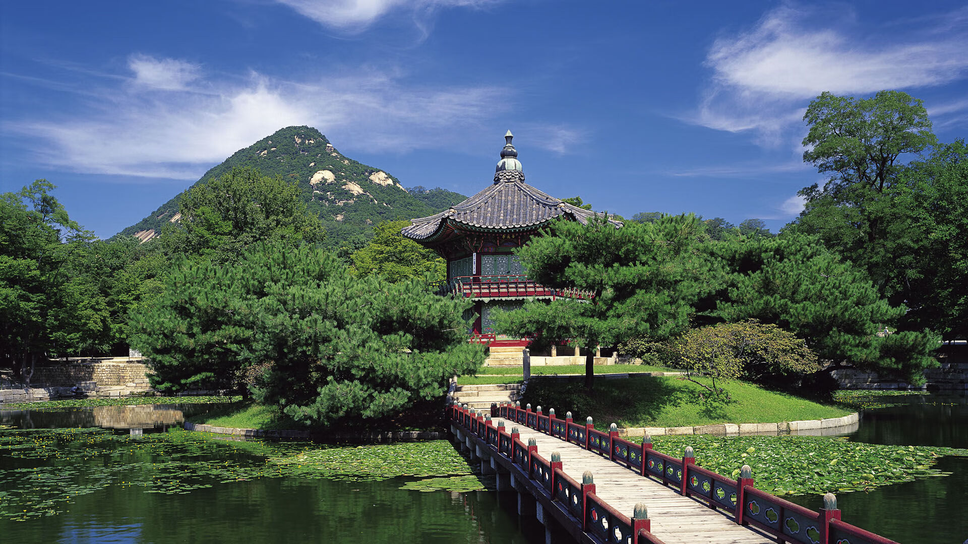 季后赛抢七焦点战,比利时强势击溃土耳其,晋级之路一片光明