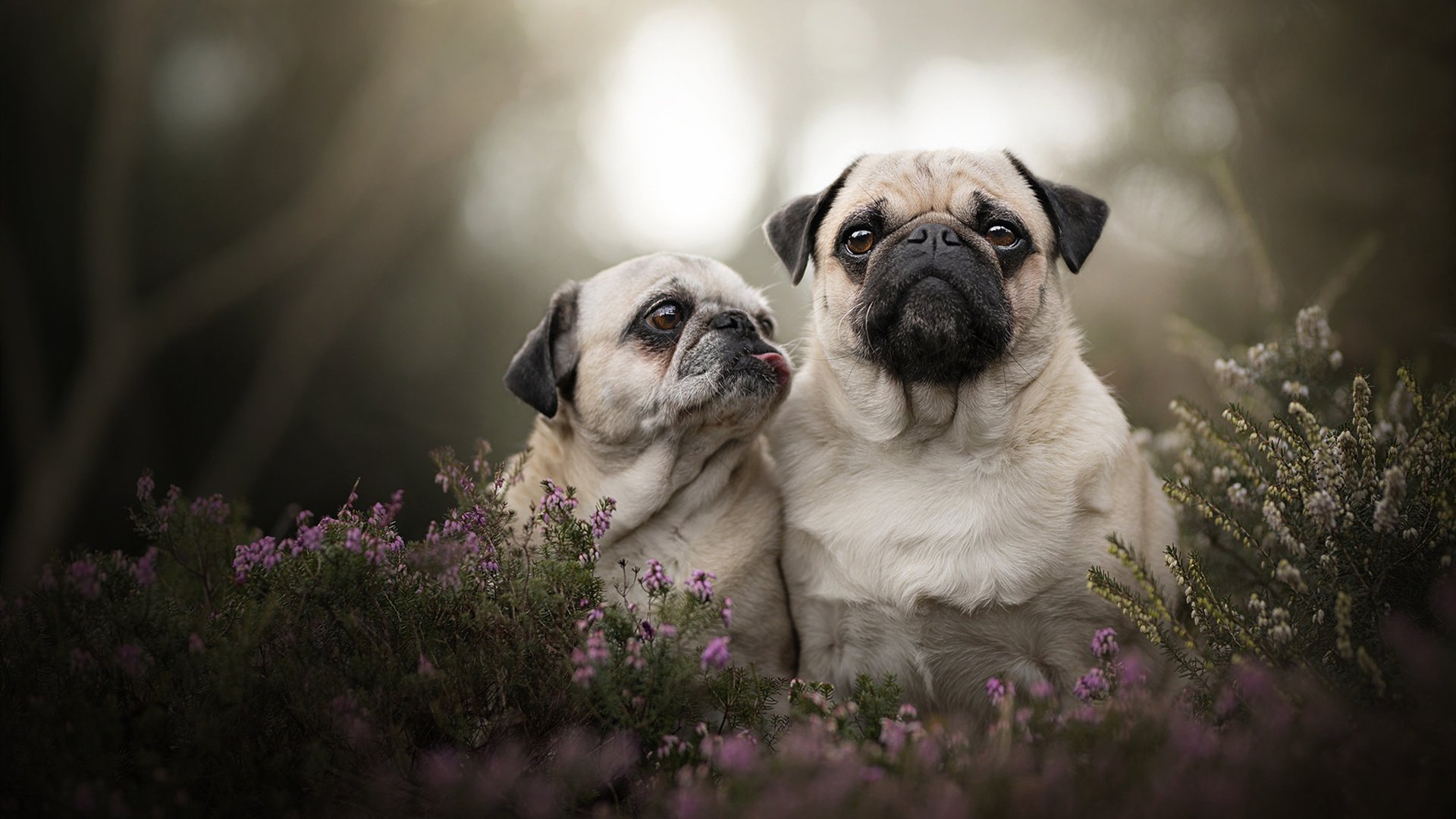 比爆冷更寒冷的,是个人英雄主义的黄昏