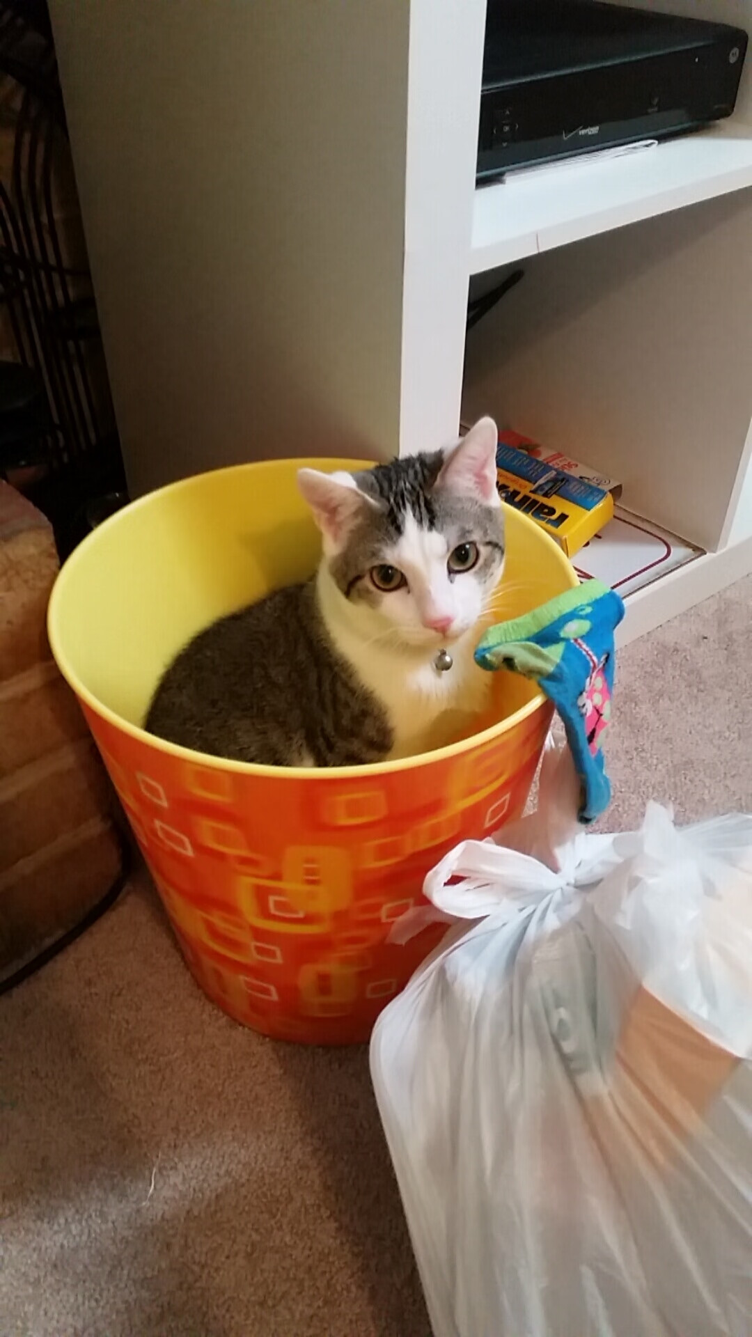 两大赛场双线狂飙,F1新赛季揭幕战惊心动魄,上海队压哨绝杀创造历史