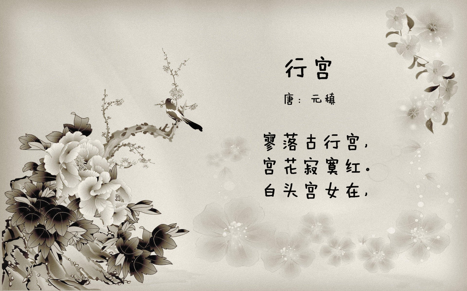 新生代控卫的巅峰对决,莫兰特狂飙主宰鹈鹕雷霆之战