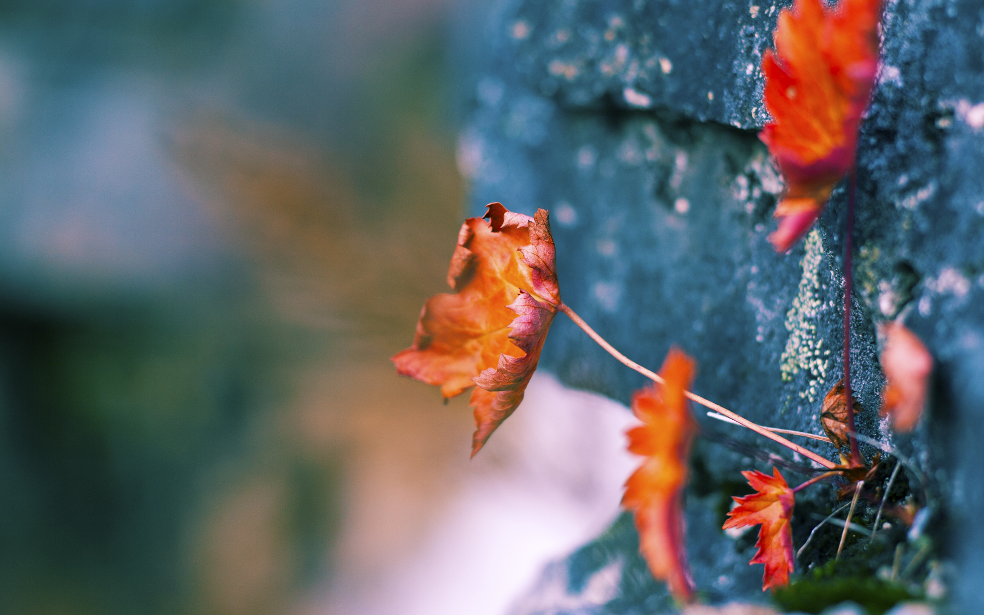 沉默的胜负手，欧冠决赛之夜，布雷默的致命一击
