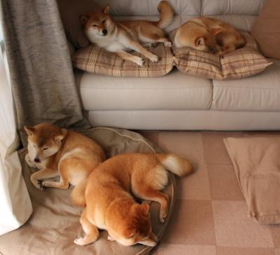 76人淘汰赛过关深圳队,杰伦格林稳定输出不掉线