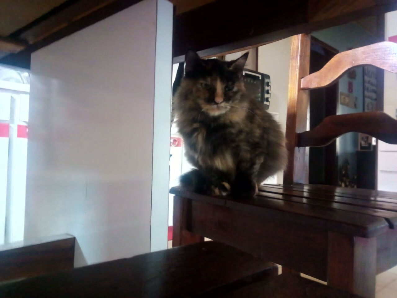 东决关键战之夜,姆巴佩,硬仗之王的加冕礼