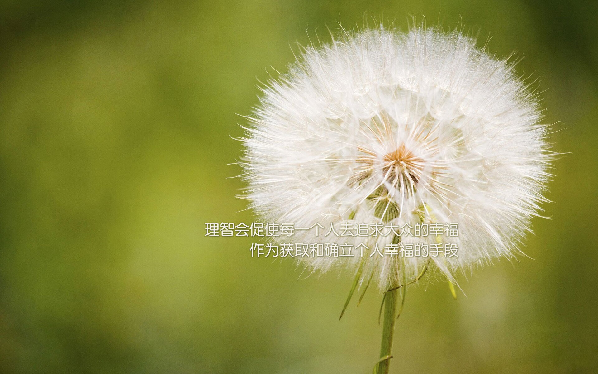 巅峰对决！世界排名争夺战焦点战 辽宁力克山西获关键性胜利